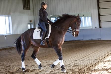 Ann Veilleux and Paddy